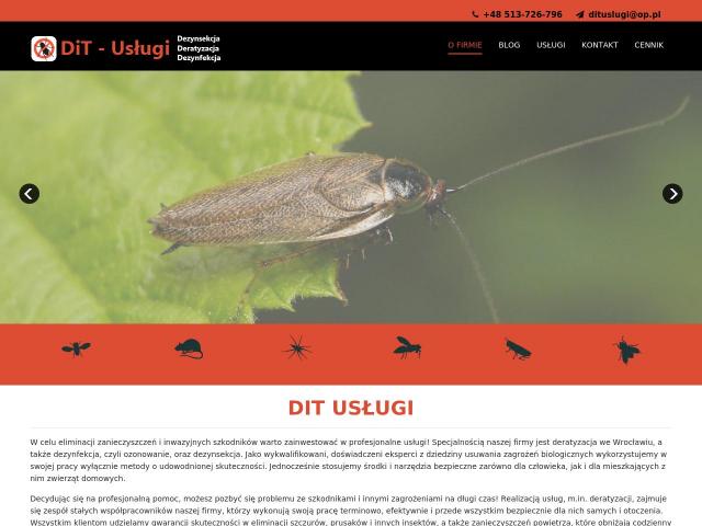 DiT-Usługi